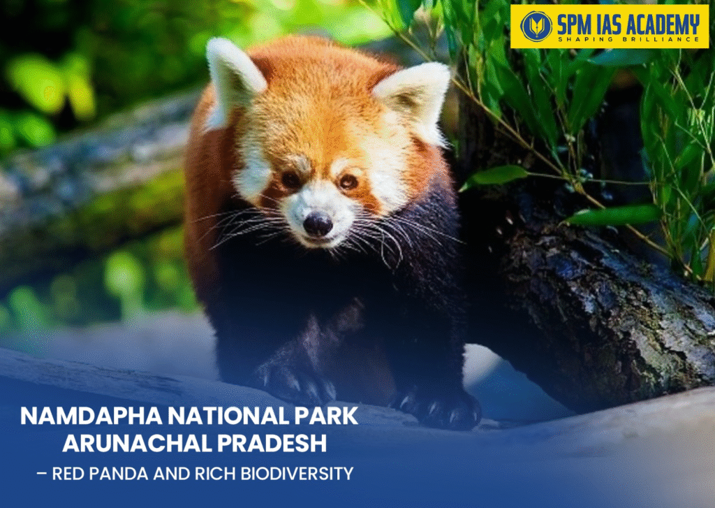 Namdapha National Park Arunachal Pradesh
