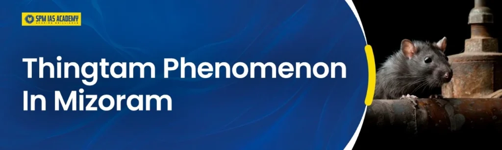 Thingtam crisis in mizoram