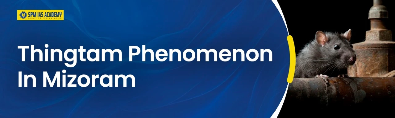 Thingtam crisis in mizoram