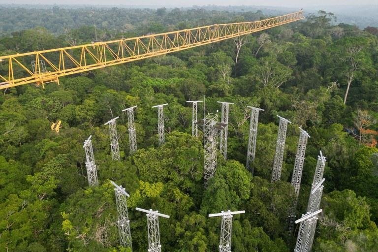 AmazonFACE project View