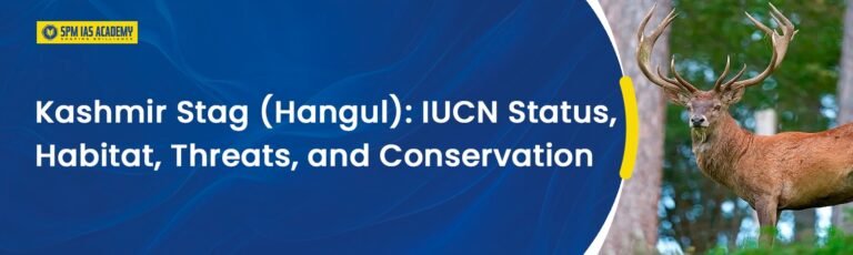 Kashmir Stag (Hangul): IUCN Status, Habitat & Threats