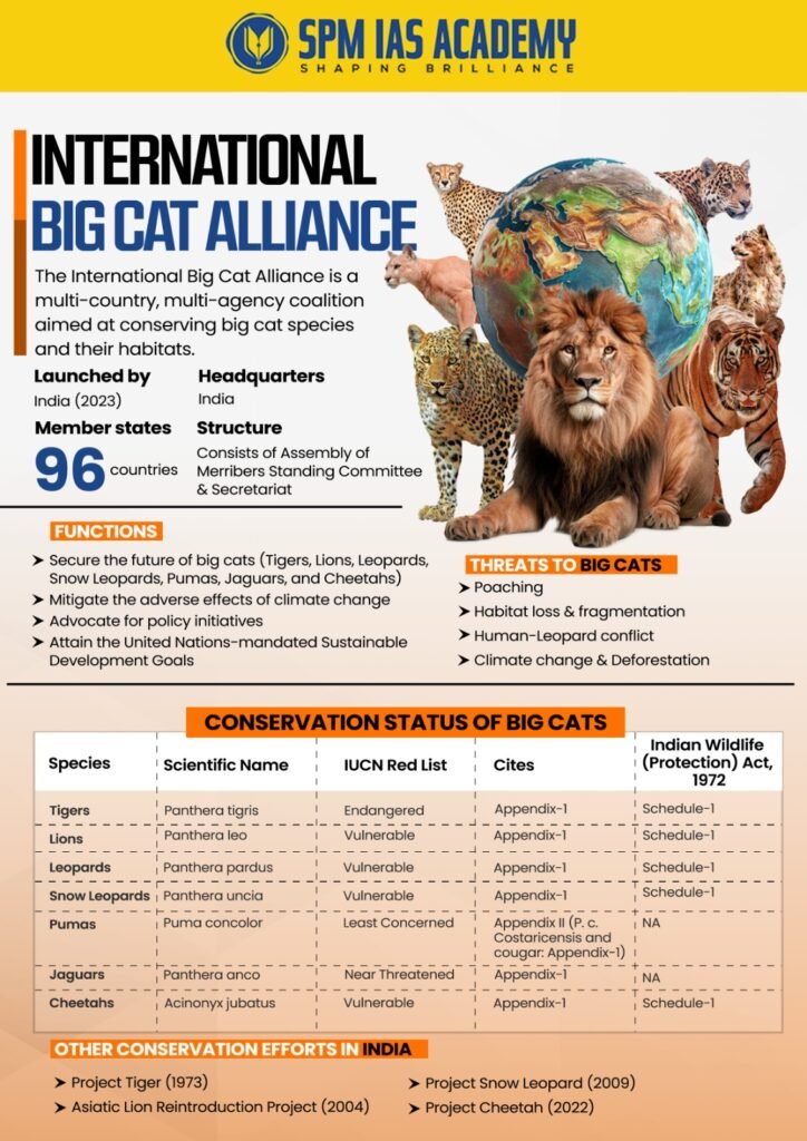 "Infographic on International Big Cat Alliance (IBCA) by SPM IAS Academy showing objectives, functions, threats to big cats, conservation status of tigers, lions, leopards, snow leopards, pumas, jaguars, and cheetahs, with details on IUCN status, CITES listings, Indian Wildlife Protection Act schedules, and other conservation projects in India."