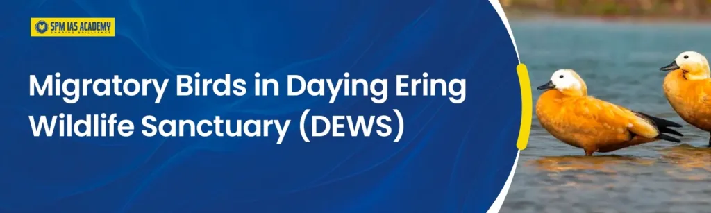 Migratory birds at Daying Ering Wildlife Sanctuary (DEWS) wetlands in Arunachal Pradesh during the winter migration season