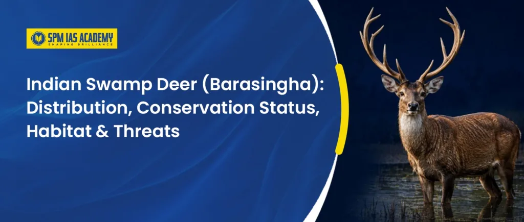 Indian Swamp Deer (Barasingha)